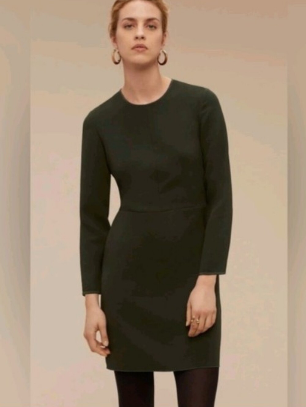 NWT Aritzia Wilfred Vilard Crewneck Dress Pockets Sz 4